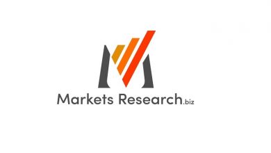 Dimethyl Sulfone Market