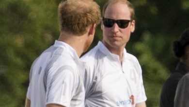 william-“worried”-about-harry-(and-the-advice-to-“return-to-london”)