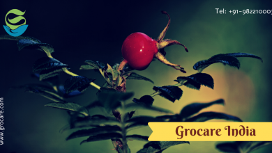 What Causes Hiatal Hernia and Important Guidelines To Treat Hiatal Hernia